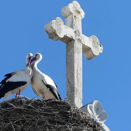 펜션 Kasa Sunshine