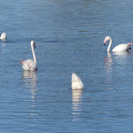 Дом отдыха Kasa Sunshine